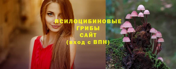 хмурый Балабаново