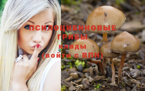 винт Баксан